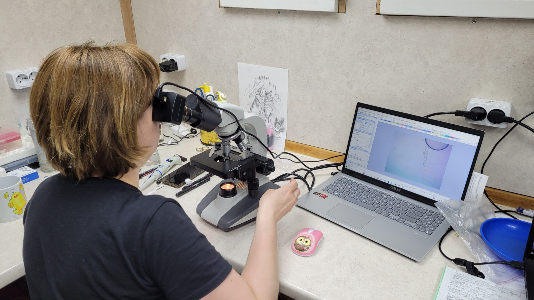 Кат_20240607_232830