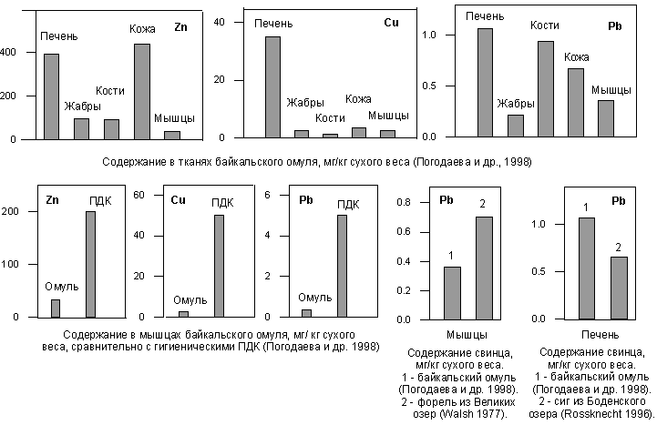 Fig. 2.2.4. Concentrations of zinc, copper and lead in tissues of fish from Lake Baikal, from the Great American Lakes and from Bodensee (Europe).