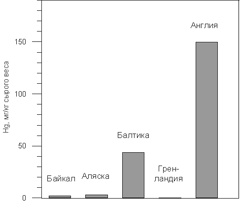 Fig. 2.2.5. Content of mercury in seals liver. Watanabe et al., 1996.