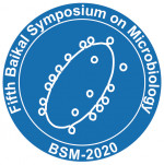 BSM 2020